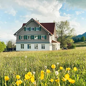 Hotel Alpenloge Design, Scheidegg