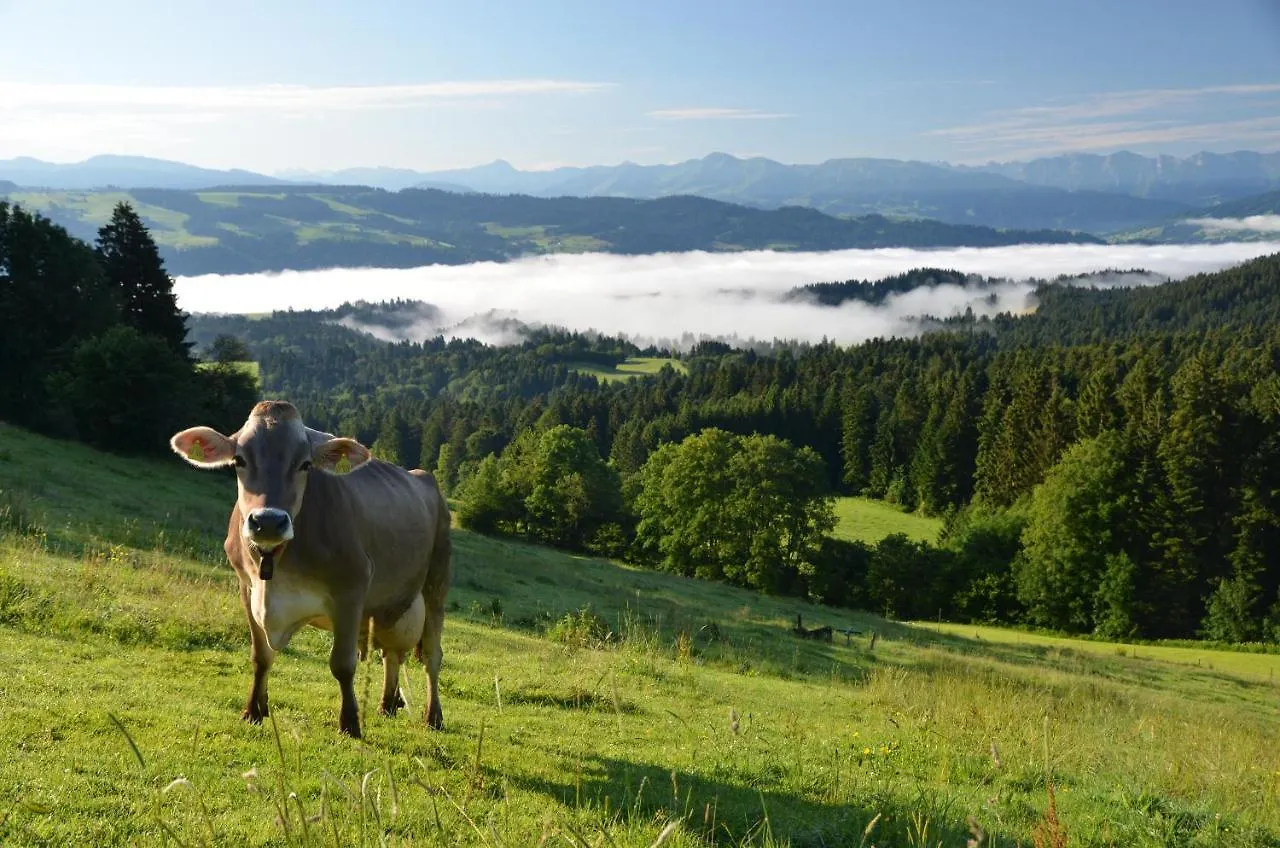 Hotel Alpenrose Gut Schlafen & Fruehstuecken Scheidegg Germany