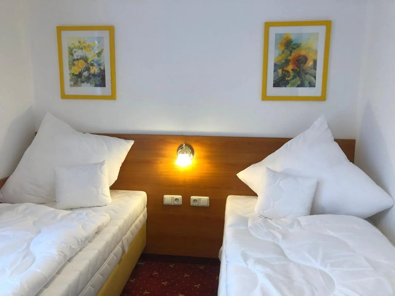Hotel Alpenrose Gut Schlafen & Fruehstuecken Scheidegg 0*,
